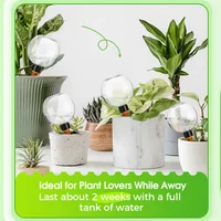 500Ml Automatic Drip Irrigation System Automatic Watering Flower Pot Ball Plant Irrigation Ball Device 6