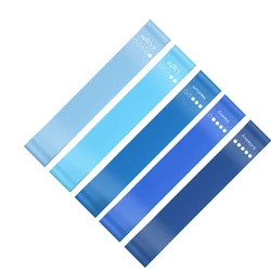 5 - Piece Elastic Resistance Bands Set for Yoga and Exercise Training (Blue)