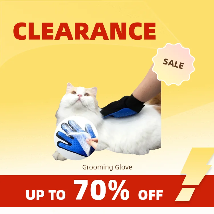 Clearance_Dog Supplies_Continuous updates