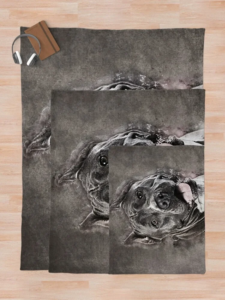 �Ƹ޸�ĭ �����۵�� �׸���-Amstaffordshire ������ ���, ���� ���� �Ƹ��ٿ� ���, ���Ÿ� �����̳�