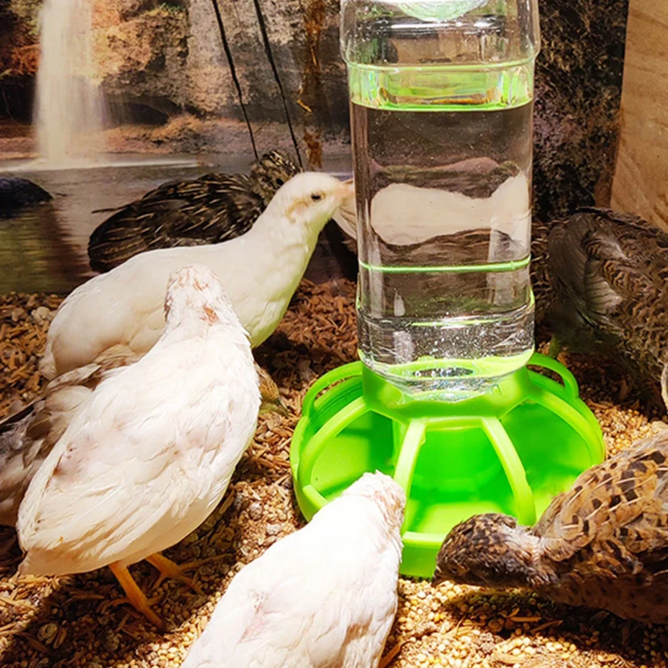 Reptile Water Feeder 2