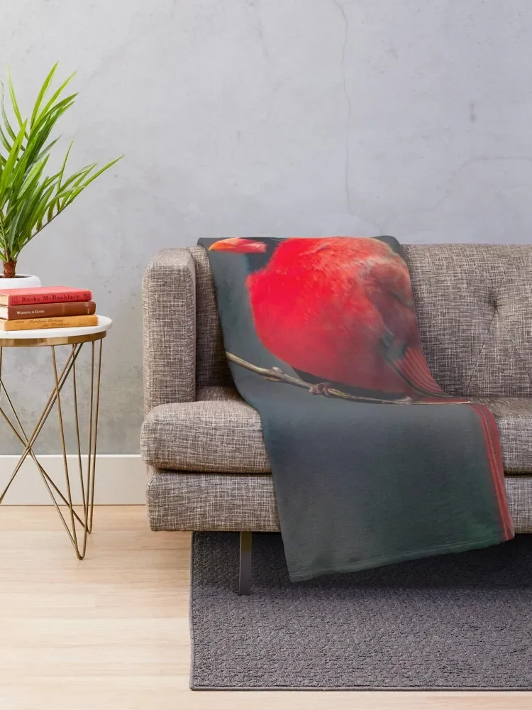 �߱�� �� ���� ������ ���, ����, �ʴ��� ������ ħ��, ���� ��ũ�� ���� ���