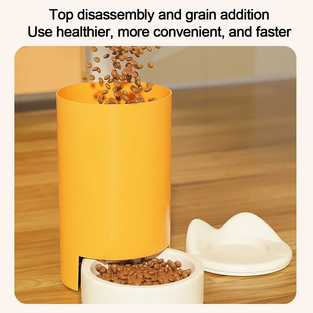 Detachable Cat Water Dispenser  Auto Feeder - Large Capacity Pet Feeding Tool