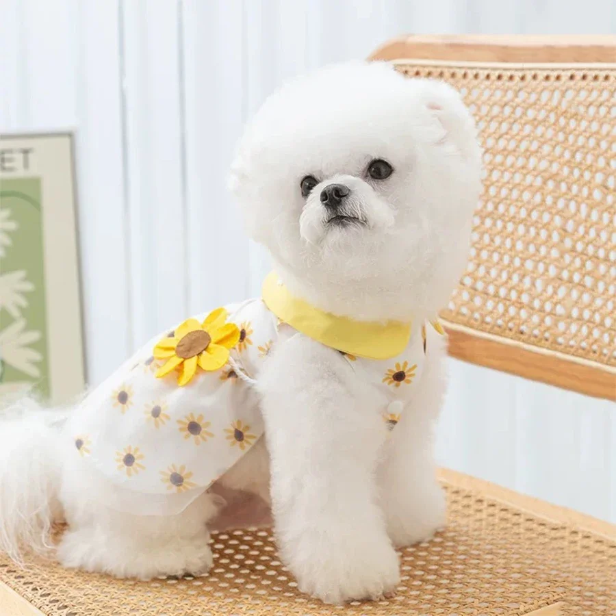 Cute Comfortable Summer Dog Princess Dress
