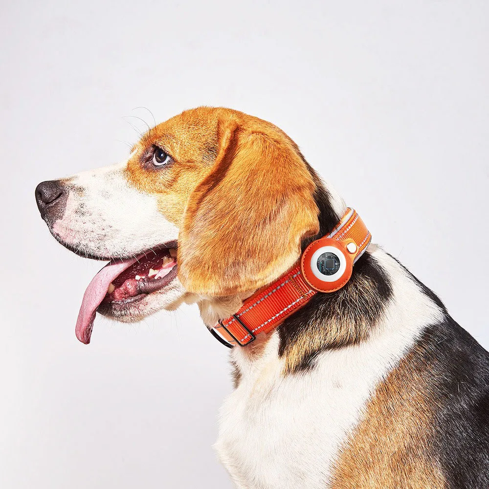 Mini Tracking Tag For IOS System Only With Apple Find My Anti-lost Device + Pet Dog Collar + Leash MFI Set Outdoor Waterproof