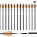 24PCS Orange