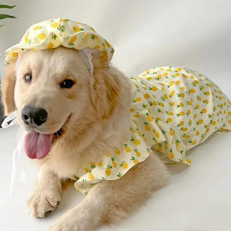 green emerald velvet dress Yellow Mirror Frock Dog Wedding Dress– Designer Bridal Outfit for Pets XXL
