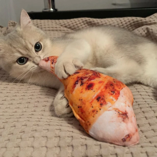 Catnip Simulation Toys for Cats