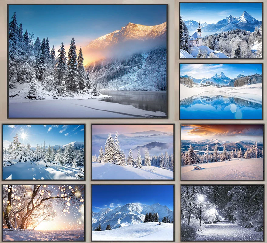 Winter Pine Forest Mountain Snow Sky Canvas 1