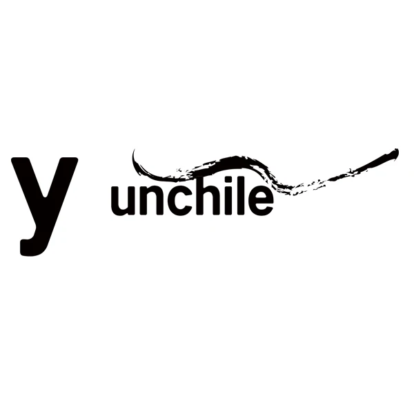 yunchile auto parts Store