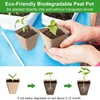 120 Pack Square Peat Pots For Seedlings, Seed Starting Pots With Drainage Holes,Biodegradable Herb Seed Pots Kits 3