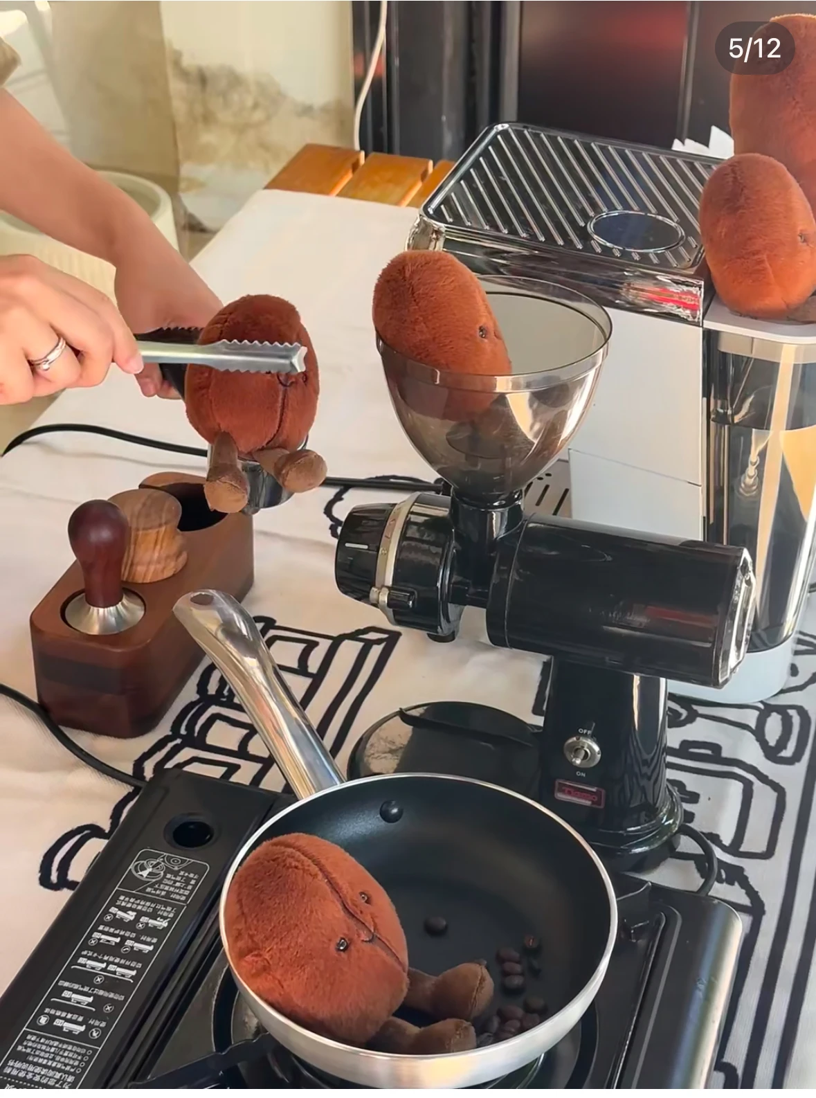 وسادة دمية من القطيفة على شكل حبوب البن البني مع و...