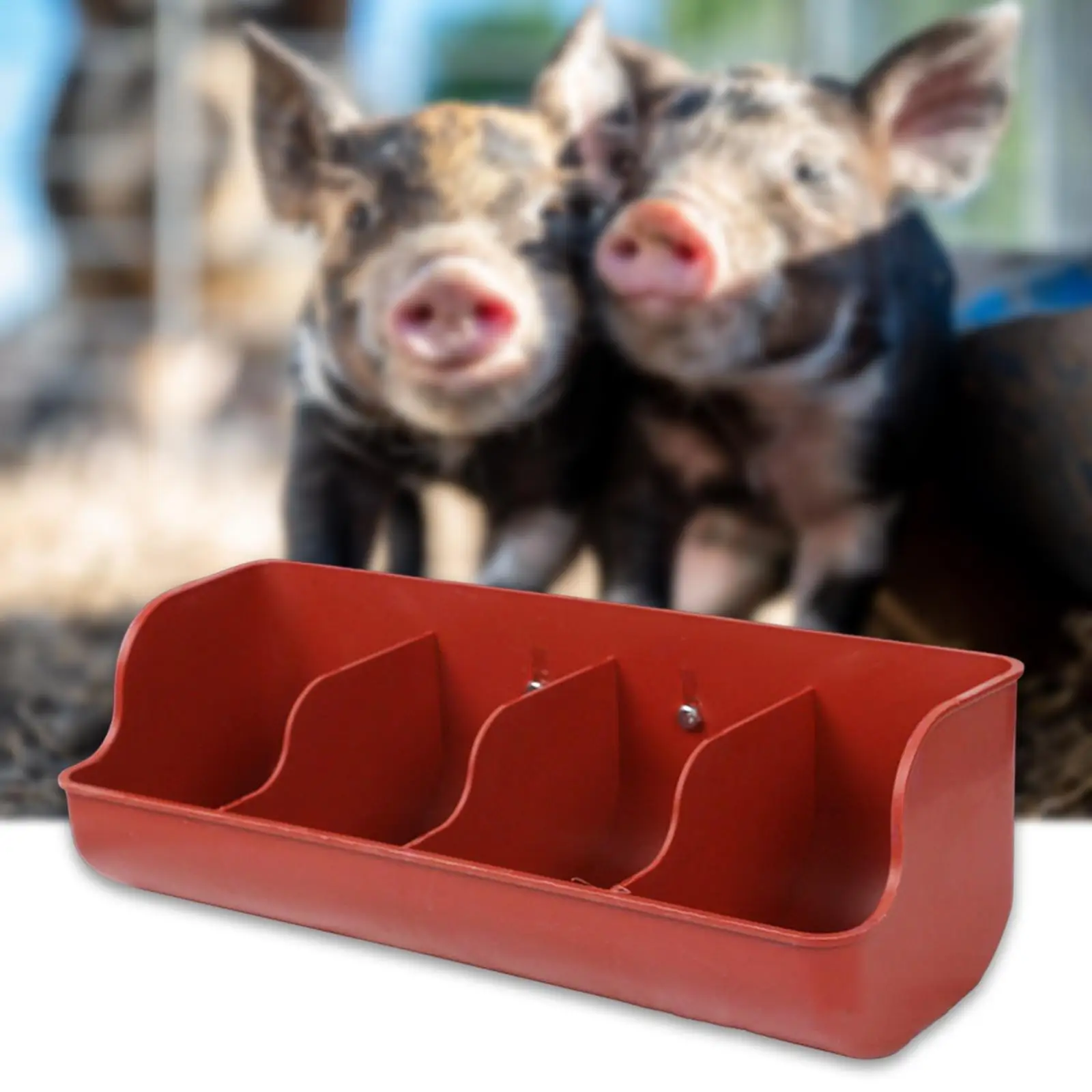 Piglet Livestock Fodder Feeding Bowl 4