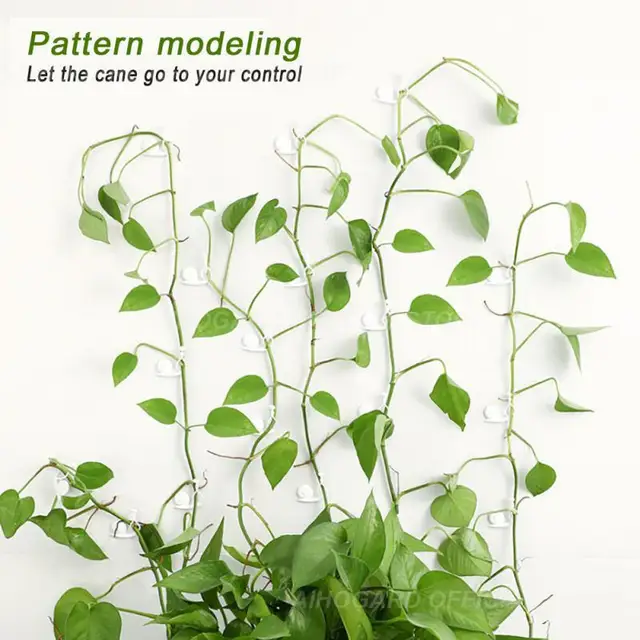 10Db Csigafal Rattan Szorító Klip Virággyár Tartó Mászó Fal Rögzítő Fali Szőlő Hegymászó Ragadós Horog Rögzített - Image 4