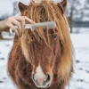 Aluminum Alloy Horse Comb Mane Tail Pulling Comb Metal Horse Grooming Comb Tool Horse Riding Equipment 6.5IN / 3.9IN 4