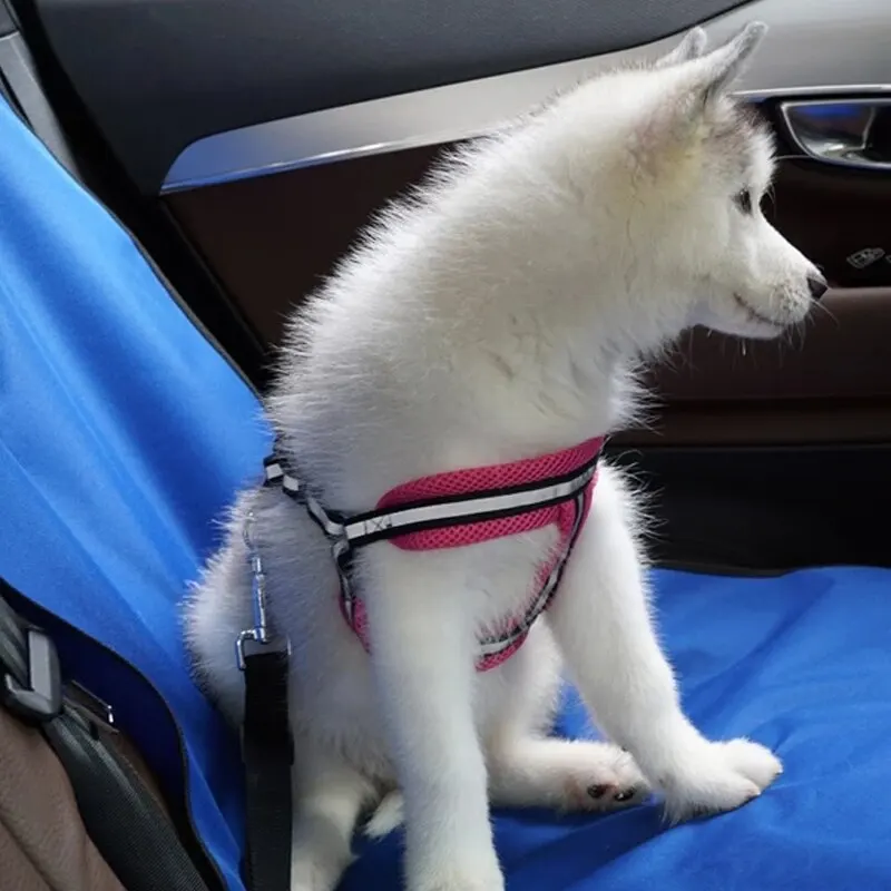 Car Seat Cover Pet Carrying Rear Seat Waterproof Anti-Dirty Anti-Scratch Protector Mat Cat Dog Safety Travel Accessories