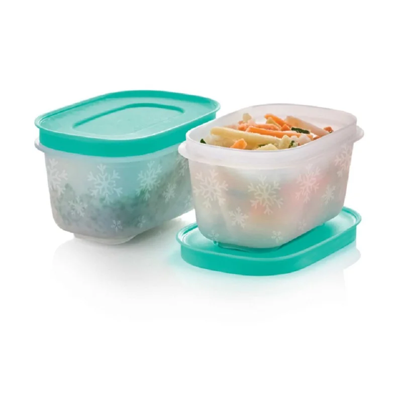 Contenitore Di Stoccaggio Tupperware Alaska Series Deep Freezer Mini Set Di 2