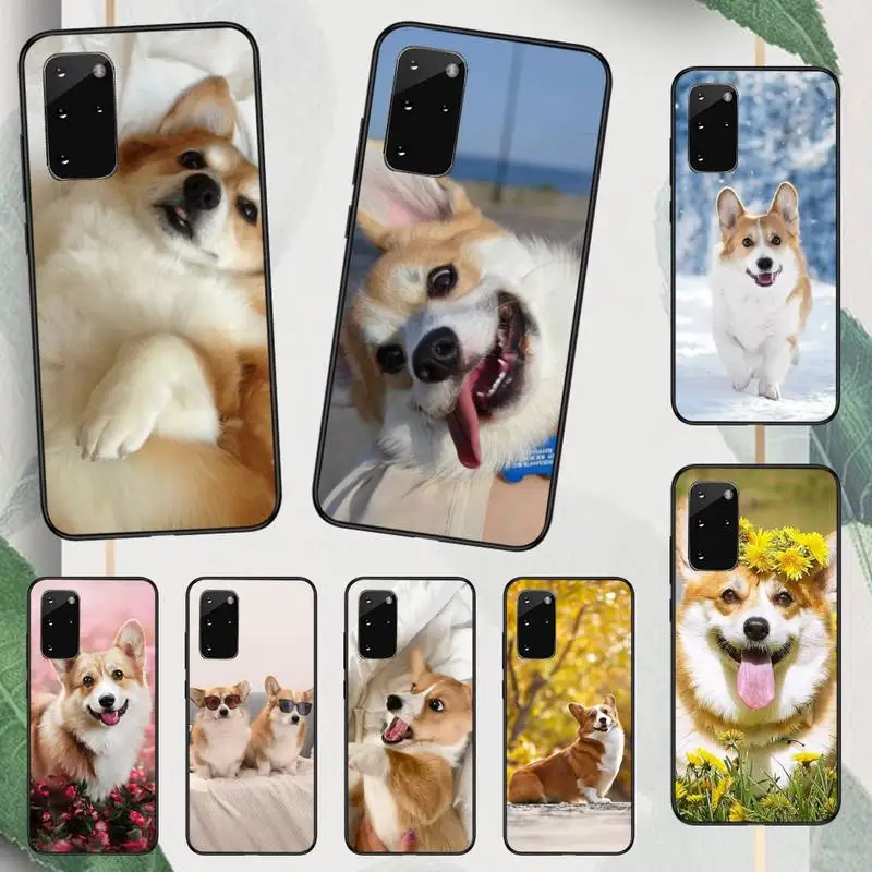 Cute Corgi Dog Animal Phone Case Per Samsung Galaxy A S Note 23 53 22 20 52 21 13 51 71 32 12 10 Fe Ultra Plus