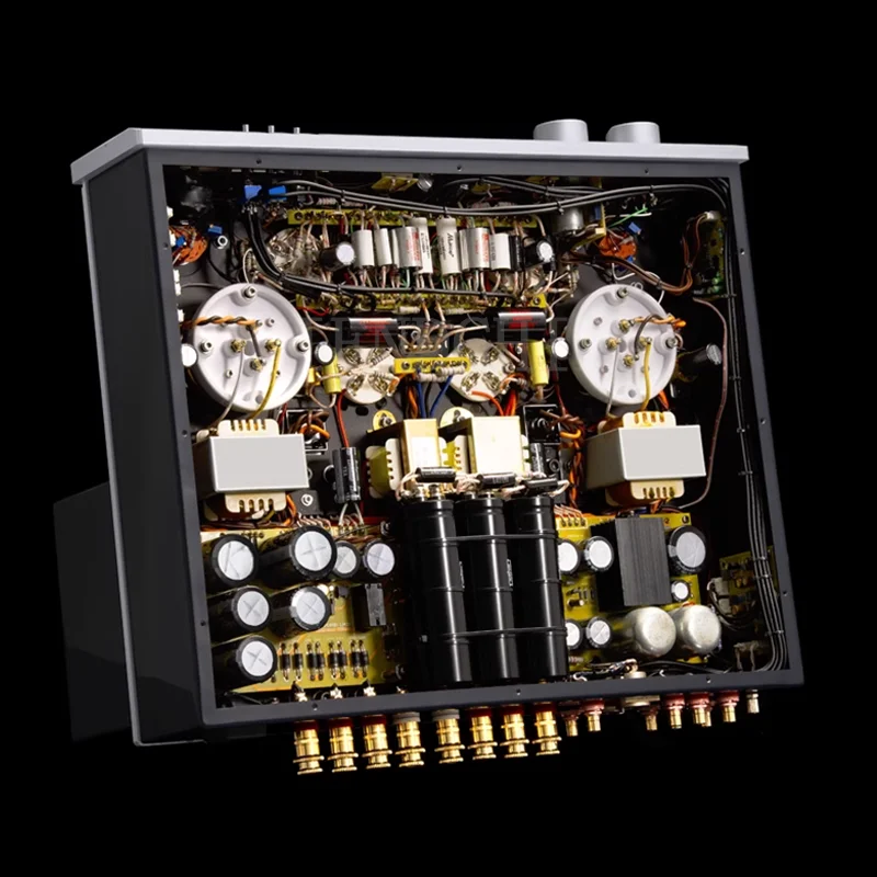 Рисунок 5 - Вакуумная трубка MUZISHARE X30