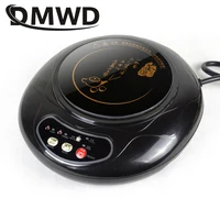 Mini cuisinière électrique à induction domestique, lait, eau, café, cuisinière chauffante, théière, nouilles, bomicrophone, chauffage de voyage, plaque de cuisson Hotpot 1