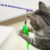 Caterpillar Style Colorful Long Rod Cat Teaser Stick, Cat Entertainment Interactive Toy 5