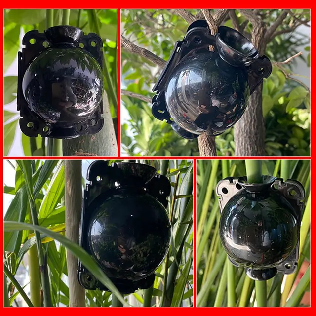 S/M/L Növény Gyökérgolyógolyó -Oltás Gyökérgyűjtő Doboz Tenyésztési Tok Nagynyomású Szaporodás - Image 2