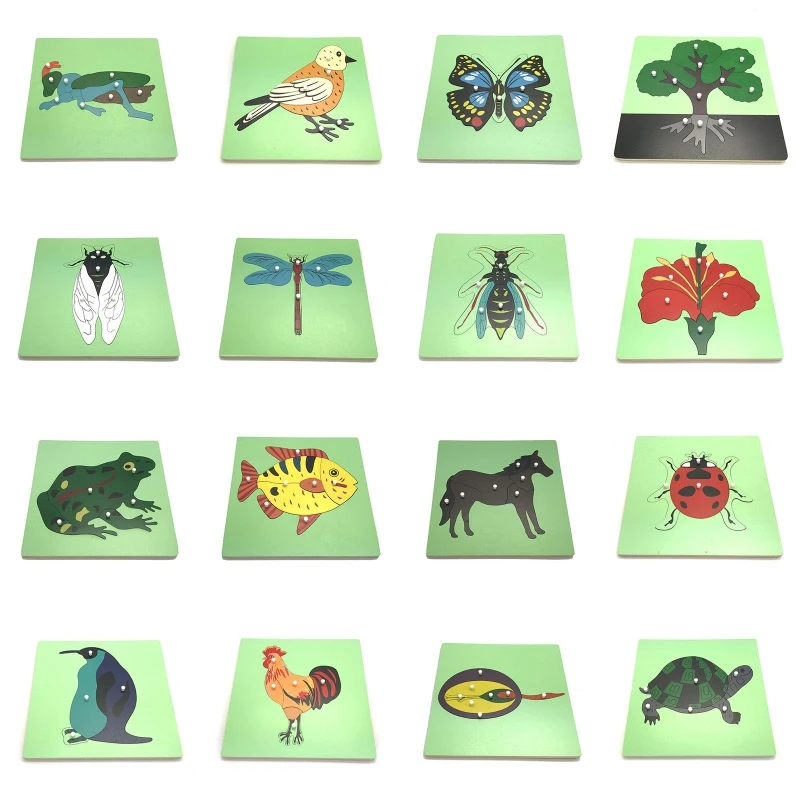 

Wood Tangram Matching Pegged Puzzle Toy Sorting Panel Board for Kids Early Learning Education Hand-Eye Coordination Toy