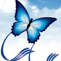 Large135cm Blue Butterfly LED Kite Single Line Bird Kites For Children Adults Outdoor Fun Animal Toy With Hand Line Factory 1