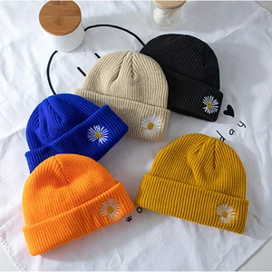 Unisex Knitted Hat Women's Woolen Cap Men Beanies Daisy Bellis Embroidered Autumn Winter Warm Toque Hami Melon Peel Hats