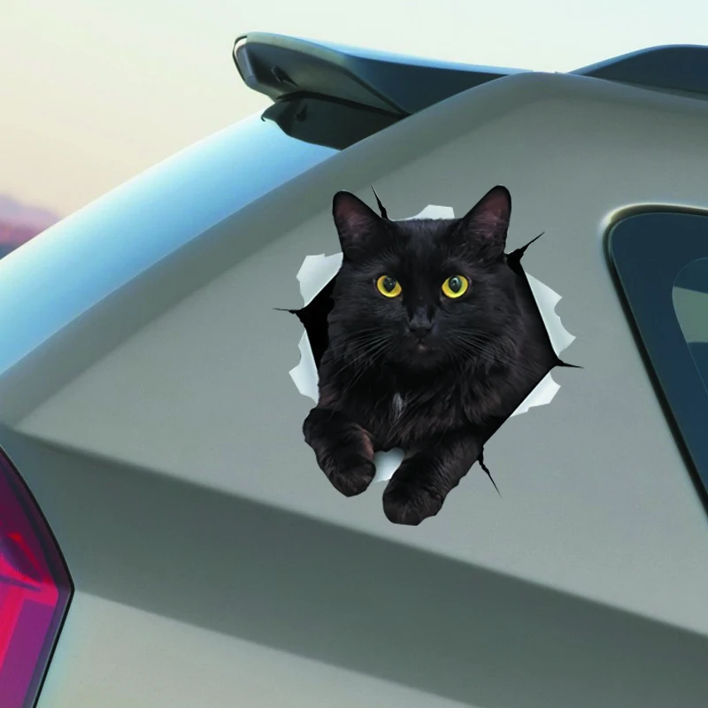 Kattenstickers voor auto's, decoratieve autostickers voor