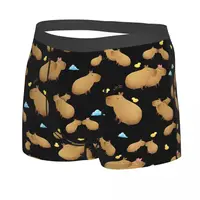 Chill Cute Men Boxer Briefs Capybara Breathable Creative Underpants Top Quality Print Shorts Gift Idea 2