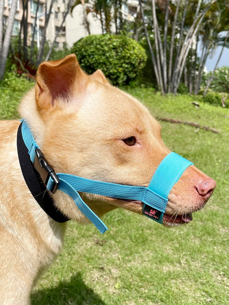 Dog Muzzle Anti-Chew Anti-Detachment Pet Masks for Small, Medium, Large Short-Muzzled Pets