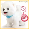 Children'S Gift Plush Toy Licking Dog Intelligent Repeating Machine Dog Simulation Can Walk Walk And Bark Electronic Dog Toy 1