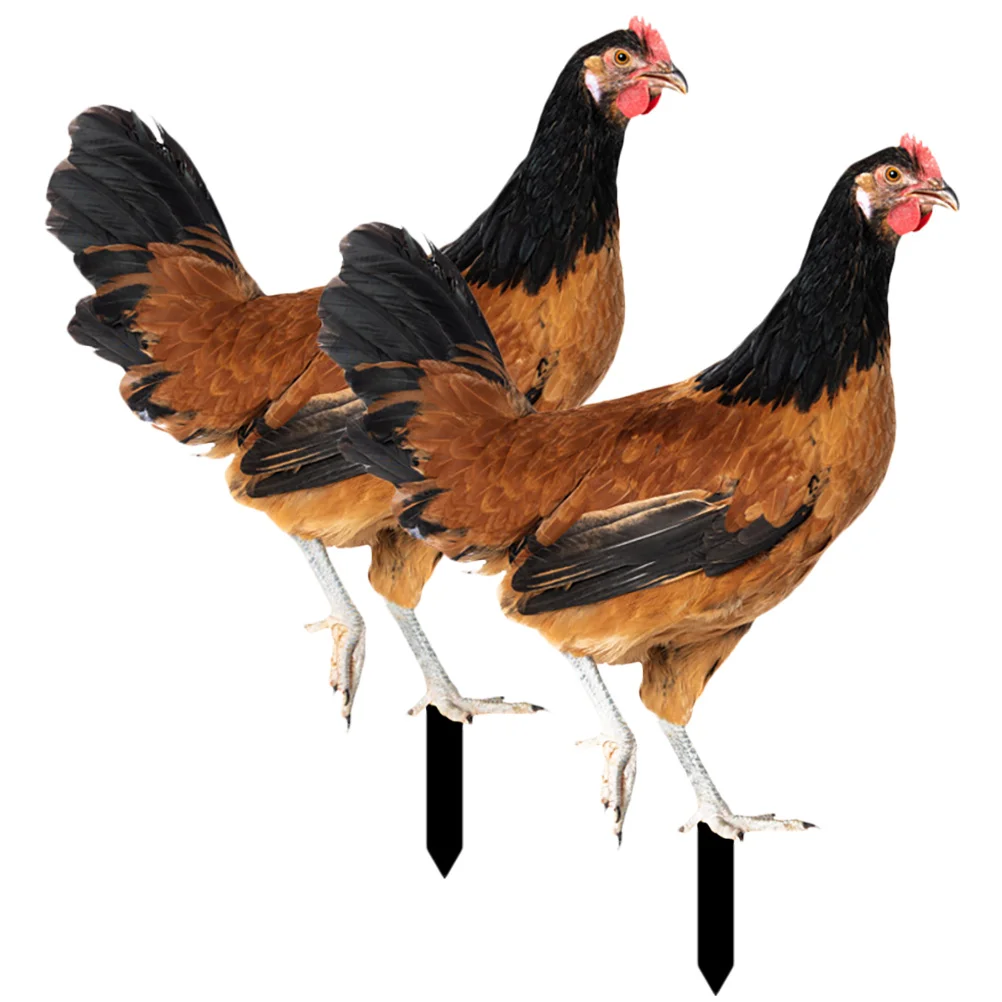 

2Pcs Acrylic Stake Garden Hen Stake Ornament Garden Hen Stake Decoration