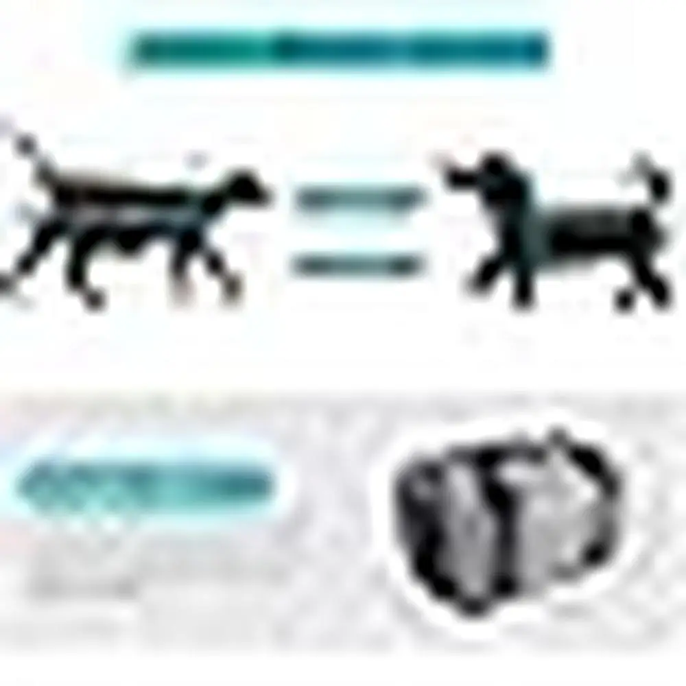 Airline Approved Expandable Soft-Sided Pet Carrier Collapsible Cat Dog Bag with Removable Fleece Pad Multi-Entrance Design