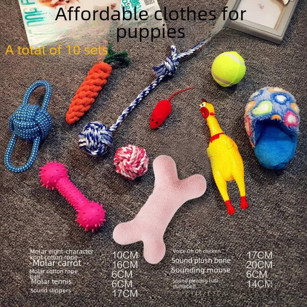 Juguete de peluche para , conjunto de entrenamiento Vocal, accesorios de tiempo de juego para cachorros, suministros de peluche Golden Retriever, nuevo, 2024 - Imagen 5