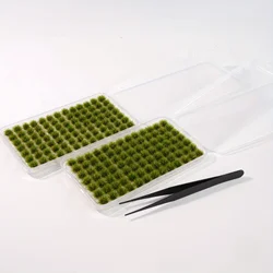 Enhanced Static Model Grass Tuft Kit with Tweezers and Storage Box for Patios and Terrain Projects (Summer Green Set)