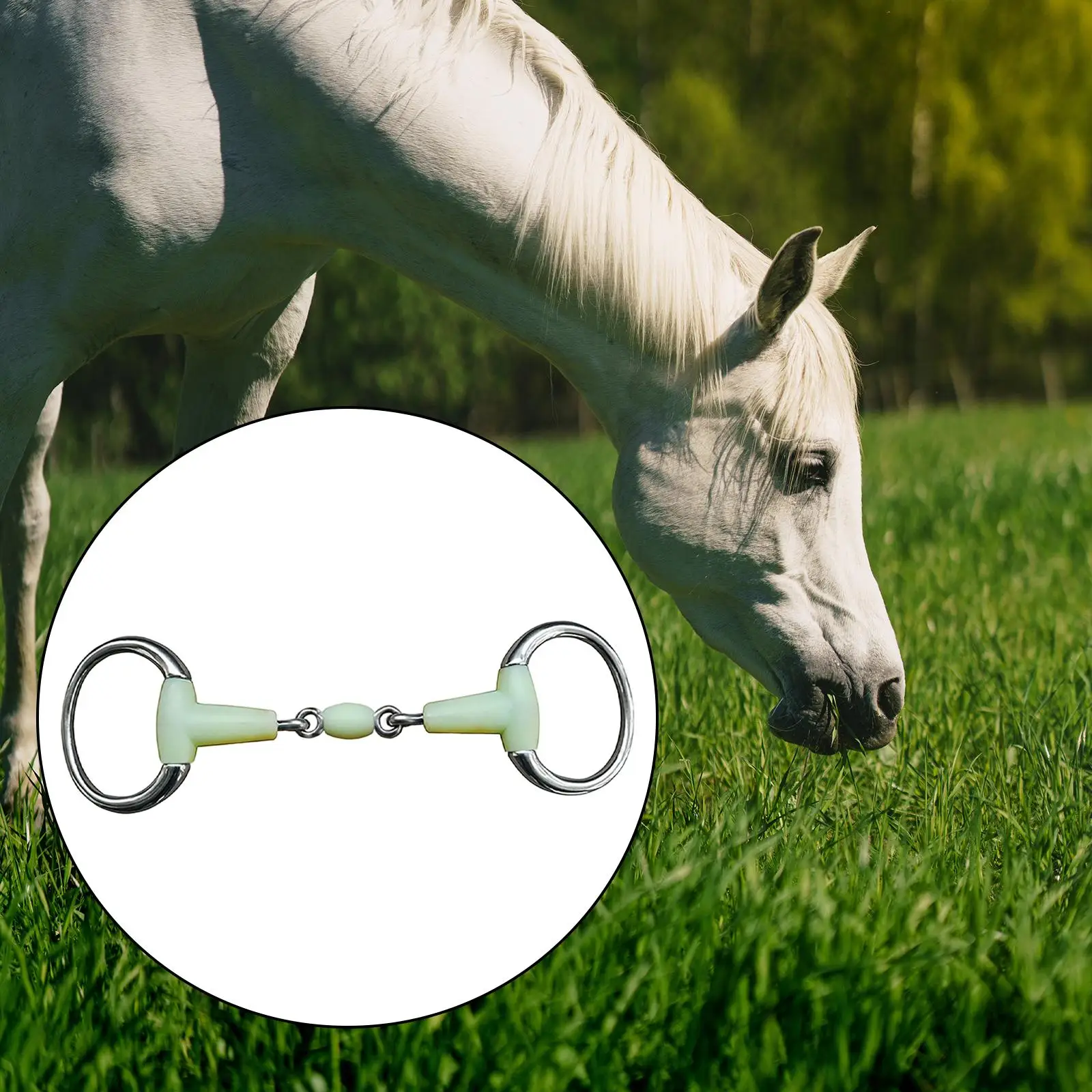 Horse Bit Mouth Wear Resistant Horse Training Snaffle Tool Stainless