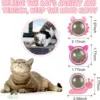 Wall Mounted Catnip Ball 4
