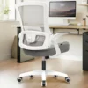 Height and Ergonomic Design Home Office Computer Desk Chair Executive Lumbar Support Padded Flip-up Armrest Swivel Chair (Grey) 1