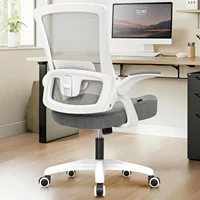 Height and Ergonomic Design Home Office Computer Desk Chair Executive Lumbar Support Padded Flip-up Armrest Swivel Chair (Grey) 1