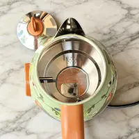 Bouilloire électrique rétro 1,7L en acier inoxydable 304, bouilloire à ébullition rapide, théière avec arrêt automatique et affichage de la température, 220V 1