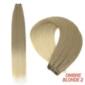 Ombre Blonde 2