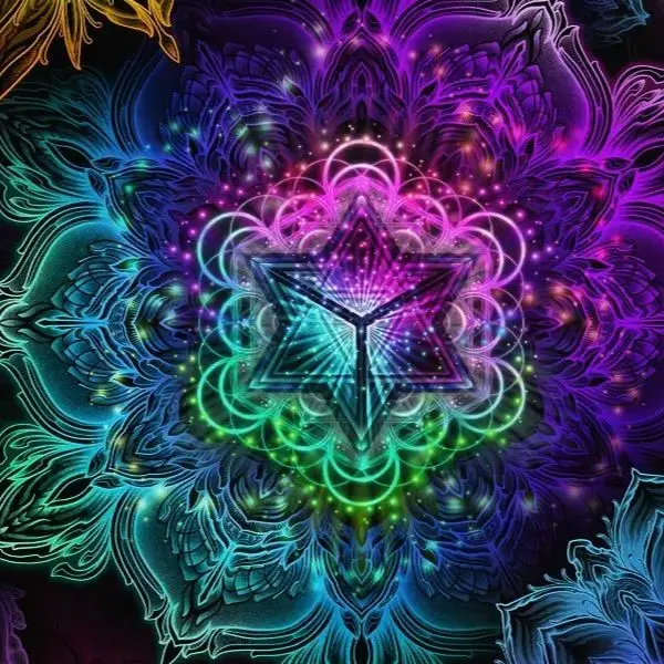 X-SAFALA Exclusive No3 Store