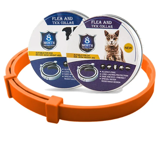orange-box-1pc