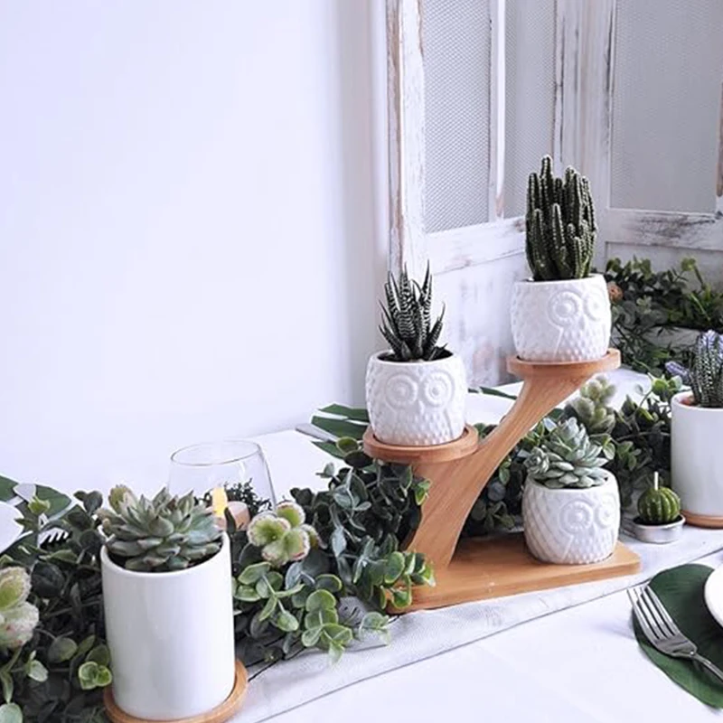 Compact Plant Display Shelves - Stylish 3-Tier Indoor Decor