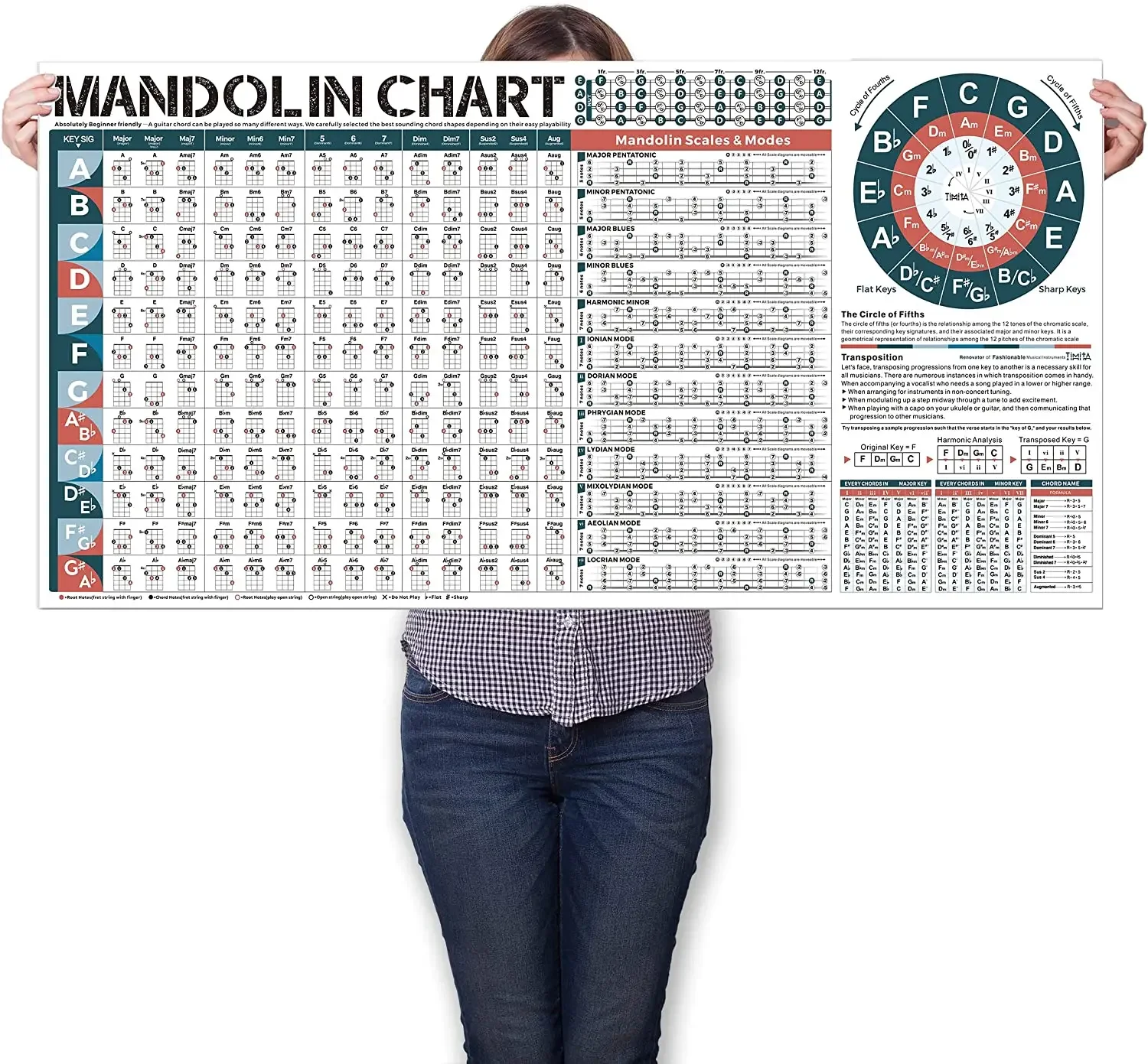 

Mandolin Chord Chart Laminated of Popular Chords Scales Fretboard Notes and Circle of Fifths Wheel Easy to Learn for Beginners