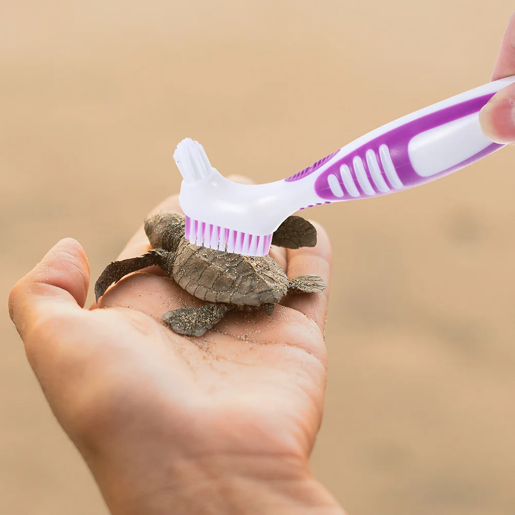 

Aquatic Turtle Cleaning Brush Tortoise Shell Mud Clean Brush Turtle Shell Cleaning Tool Mini Braces Mud Dirt Remover