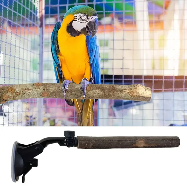 Wood Parrot Perch Prevent Slip Interactive Bird Window Perch Stand With Suction Cups For Small Medium Bird 3