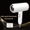 F33 T821 Professional Hair Dryer Hot Cold Wind Air Brush Hairdryer Negative Lonic Blow Dryer Strong PowerDryer Salon Tool 2400W 4